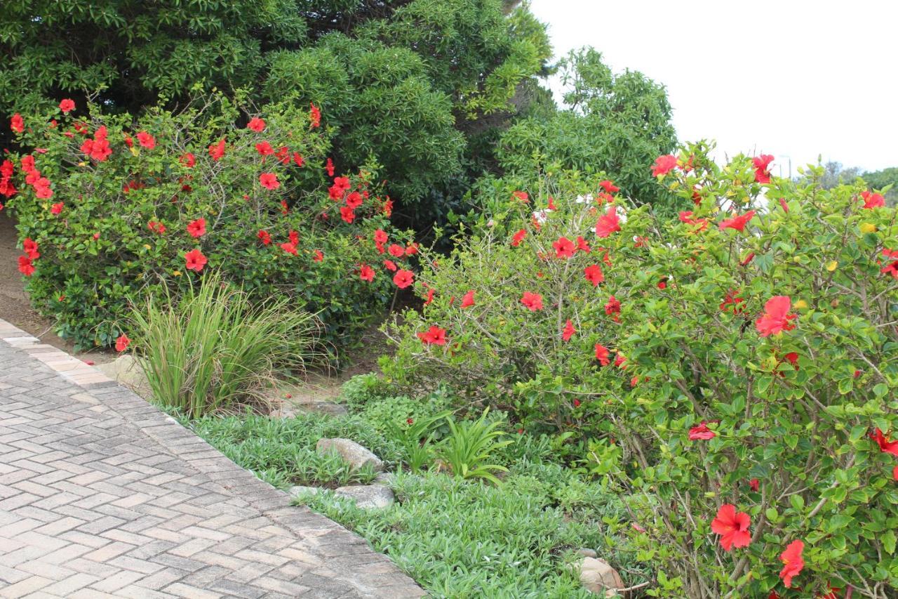 Beach Break B&B Port Alfred Buitenkant foto
